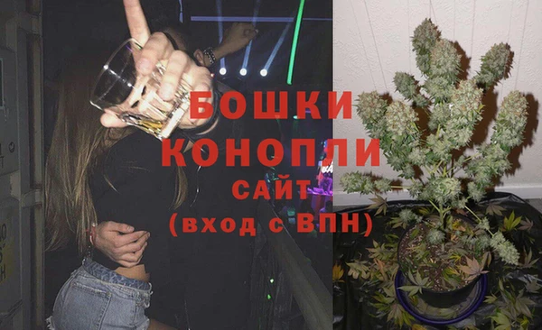 гидра Алексеевка