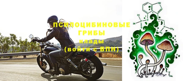 индика Алзамай