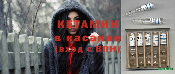 индика Алзамай