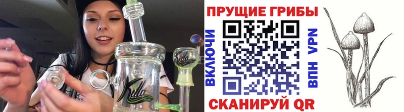 Псилоцибиновые грибы ЛСД  MEGA как зайти  Старая Русса 